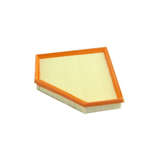 Genuine BMW 2.0L Petrol G20/G22/G29: 330i, 430i, Z4 30i, 230i etc. (2019-25) OEM Air Filter 13718580428